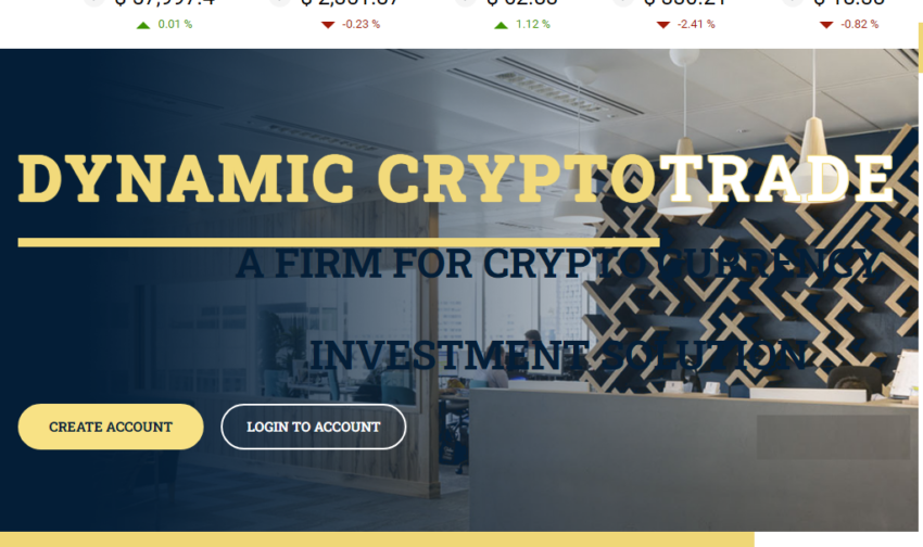 DYNAMIC CRYPTO WORLDWIDE 247 Review